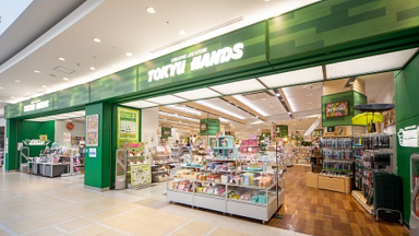 �i�C�g�A�C�{�[�e ���}�n���Y